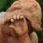 [thumbnail image]